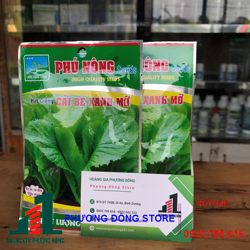 Combo 5-10 gói hạt giống Cải bẹ xanh nảy mầm cao, trồng quanh năm
