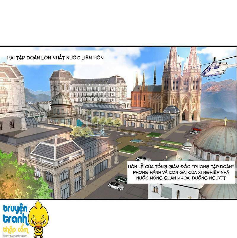 cường sủng hào môn tiểu manh thê chapter 1 5