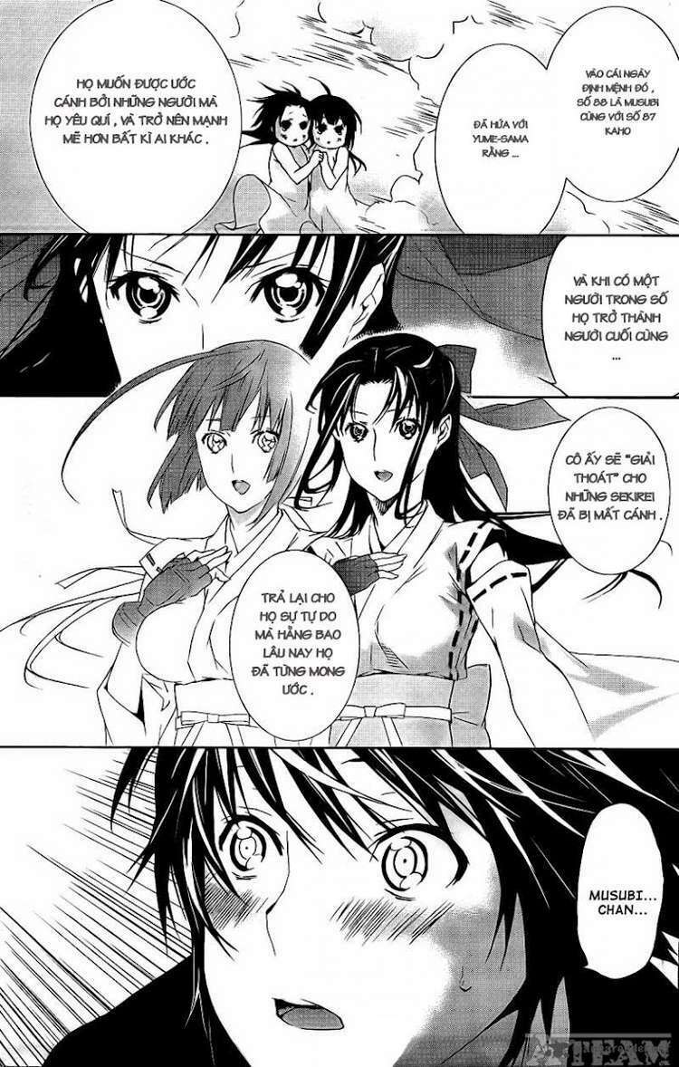 sekirei chapter 124 12