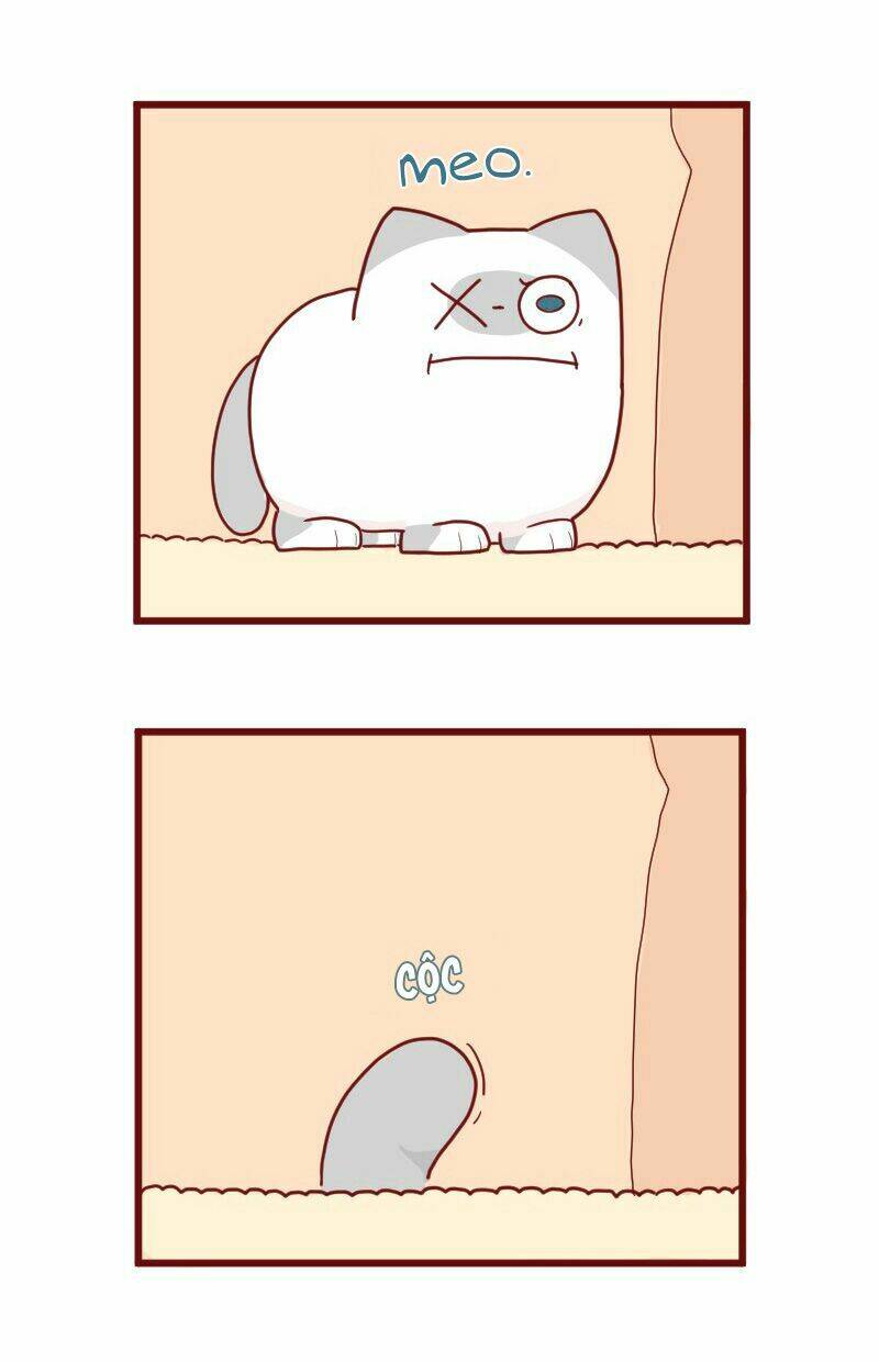saphie: chú mèo một mắt chapter 9 8