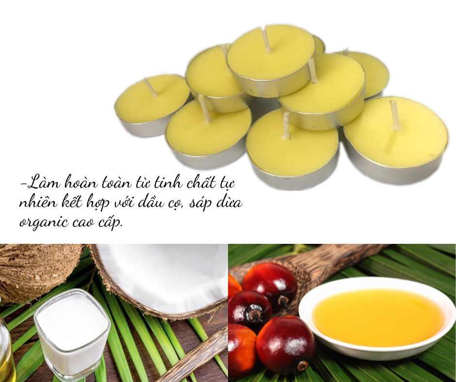 COMBO 10 HỘP NẾN TEALIGHT - VÀNG - ĐẾN TỪ THƯƠNG HIỆU R2D, LÀM TỪ SÁP CỌ, DẦU DỪA, TINH DẦU, THÀNH PHẦN TỰ NHIÊN, LÀNH TÍNH.
