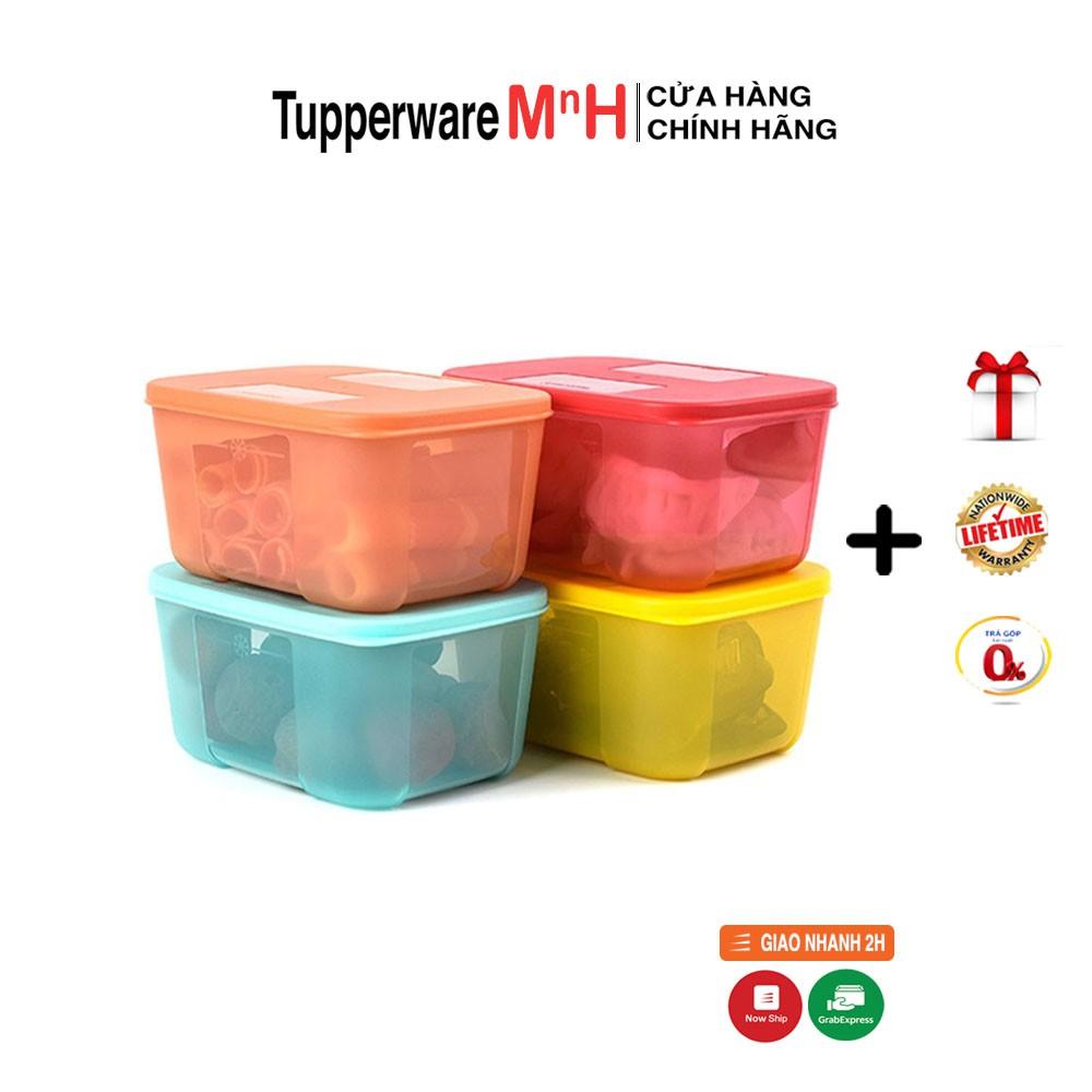 Bộ Hộp Trữ Đông Freezermate Rainbow Tupperware, Hộp Bảo Quản Thực Phẩm, Nhựa Nguyên Sinh An Toàn