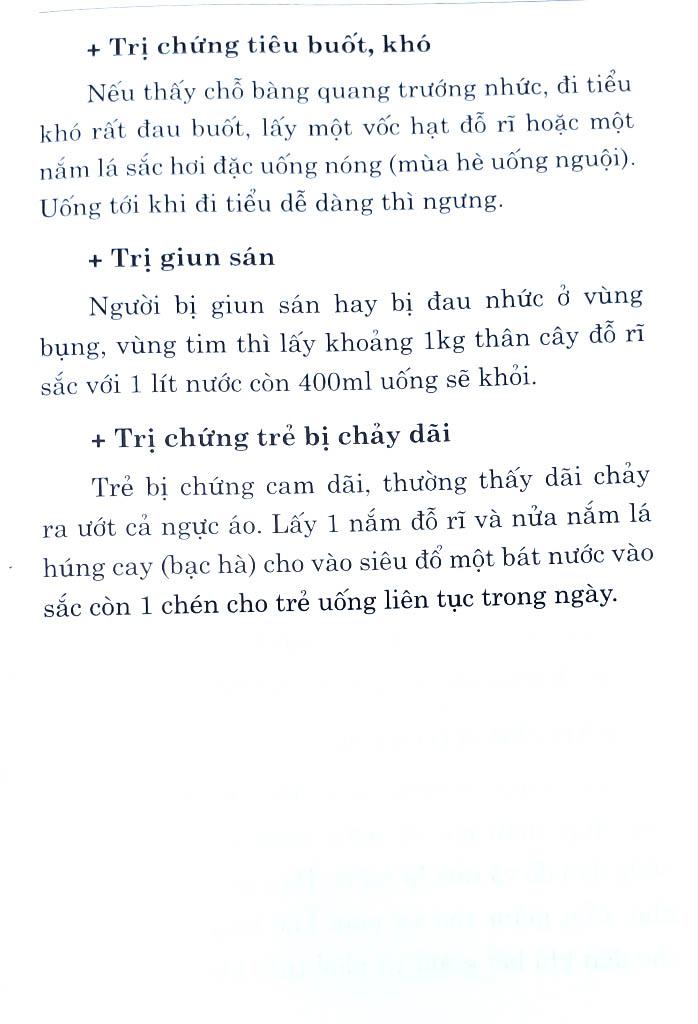 500 Bài Thuốc Hay Chữa Bệnh Theo Kinh Nghiệm Dân Gian (Tái Bản 2023)