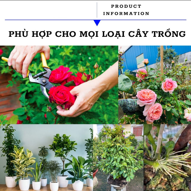 Thuốc,Viên Kích Rễ Cây Trồng X-GROW - Cung Cấp Dinh Dưỡng, Phục Hồi Cây, Tránh Sâu Bệnh