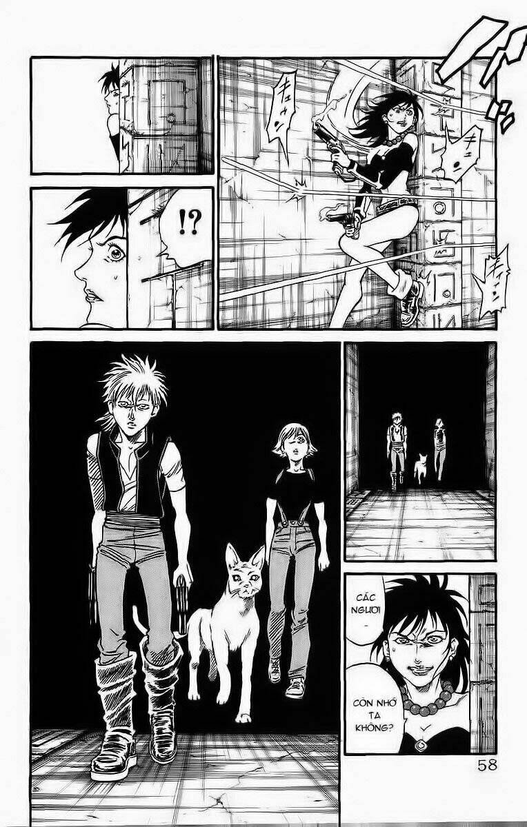 vua trên biển chapter 243 13