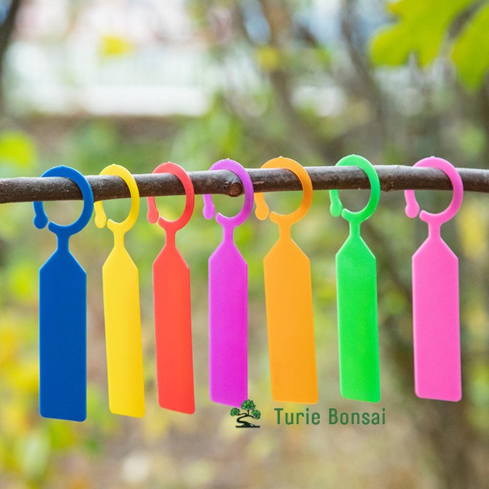 Thẻ ghi tên lan, cây cảnh,quả có móc treo, thẻ ghi tên cây có móc treo
