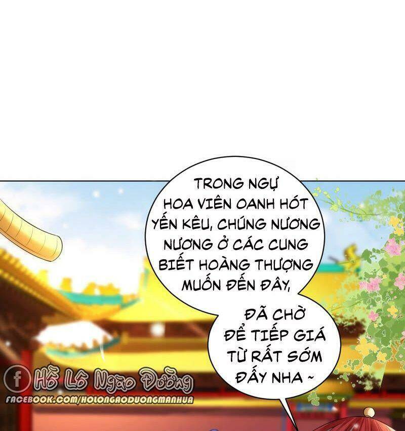 quận chúa vững vàng, thiết lập nhân vật không thể vỡ chapter 34 31