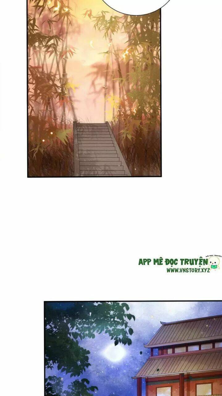 phượng hoàng vu phi chapter 71 15