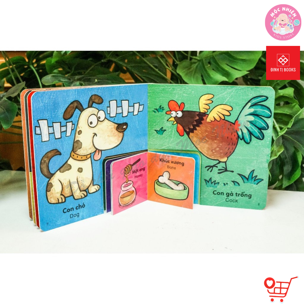 Sách - Bộ sách to ôm sách nhỏ dành cho trẻ 3-6 tuổi - Đinh Tị Books