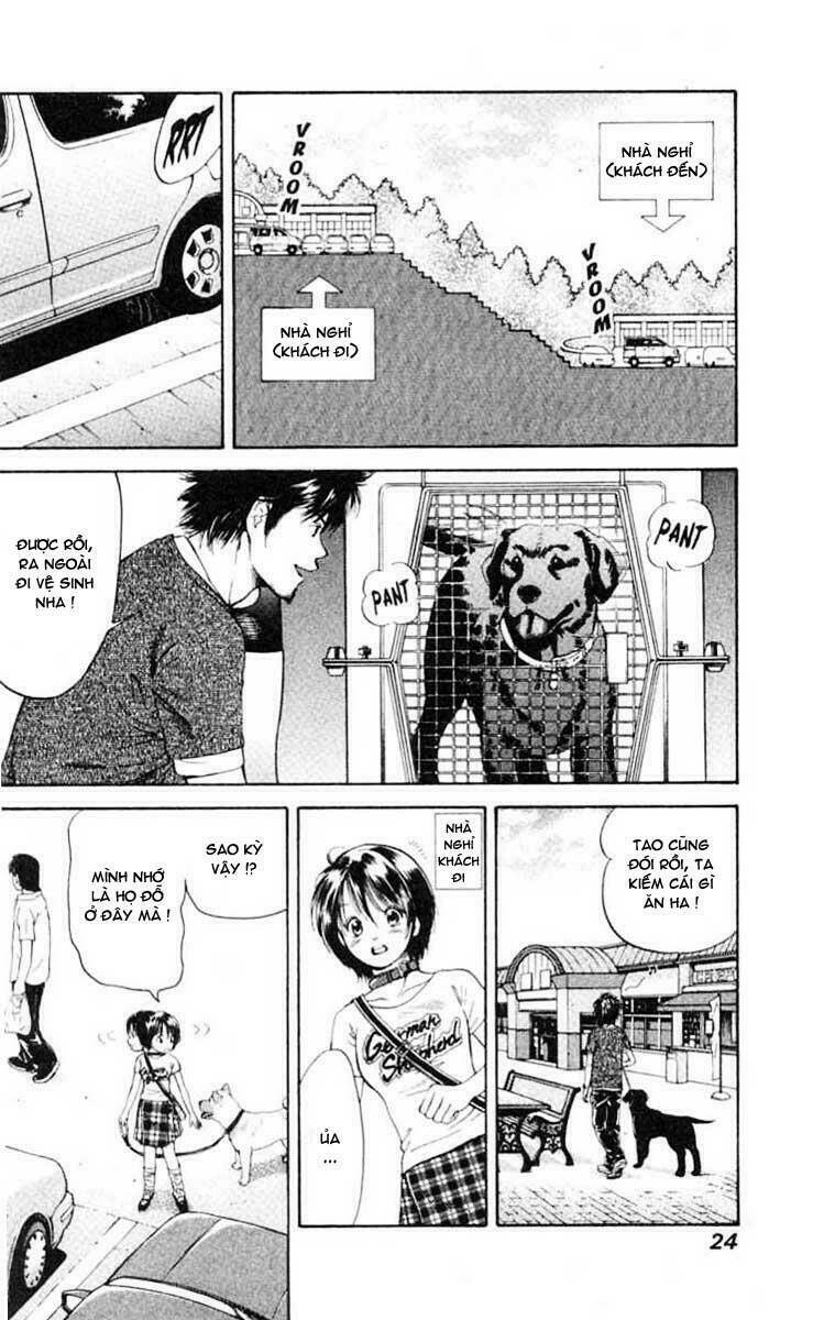 cô nàng yêu chó chapter 1 22