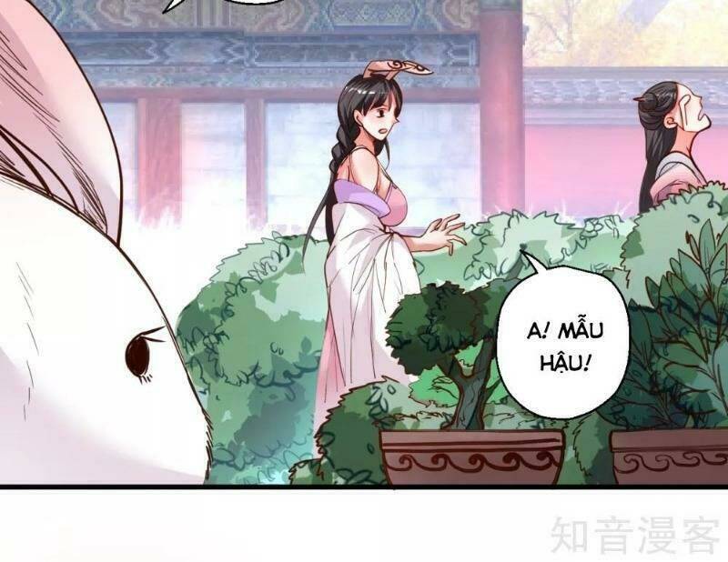 tối cường đại biểu hoàng kim thận chapter 82 39