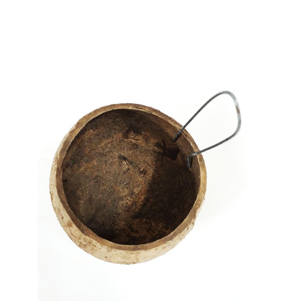 Gáo Dừa Cho Gà Ăn, Gáo Dừa Để Nước Uống Cho Gia Cầm - Phụ Kiện Gà