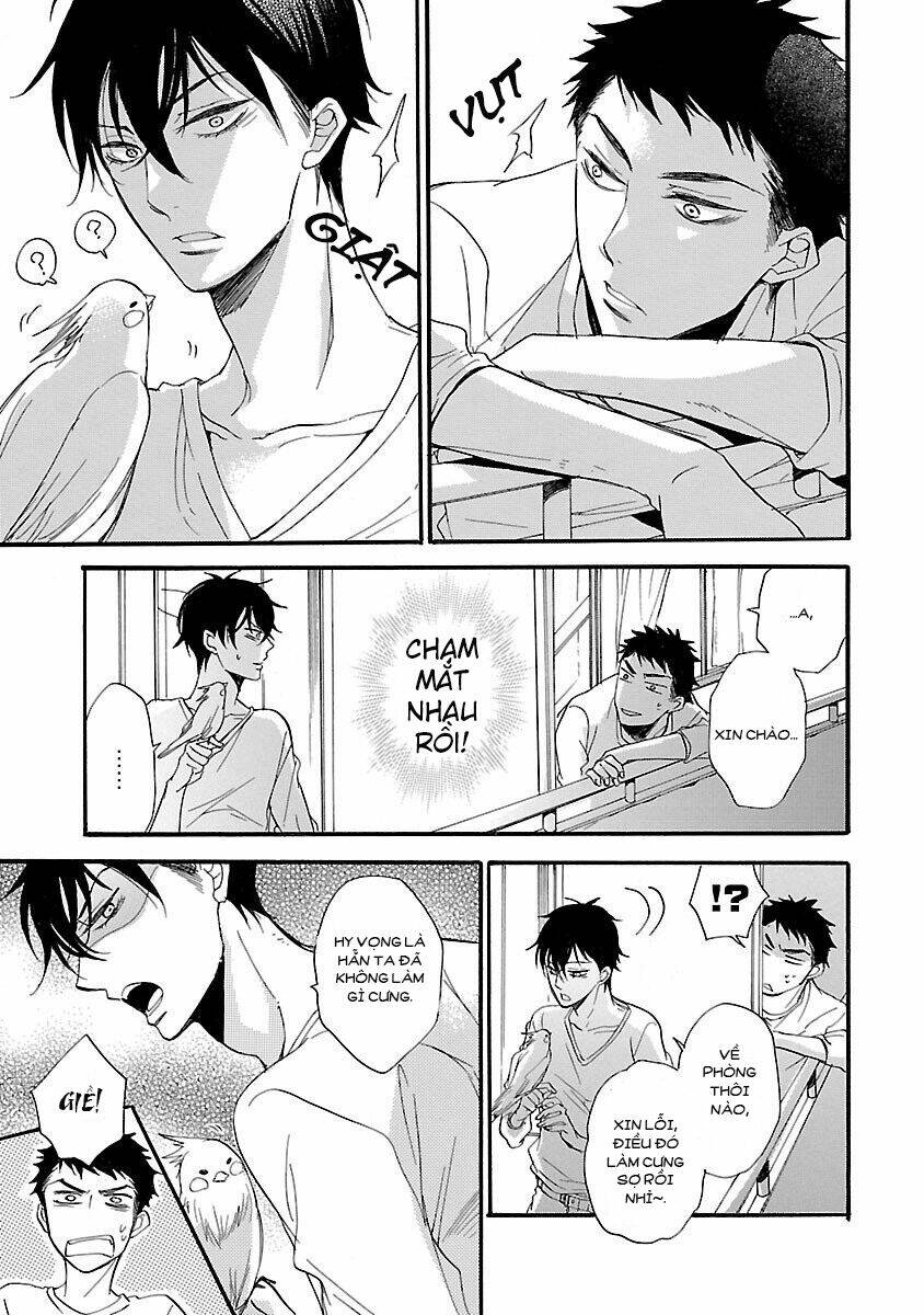 không thể thích nổi cậu chapter 1 7