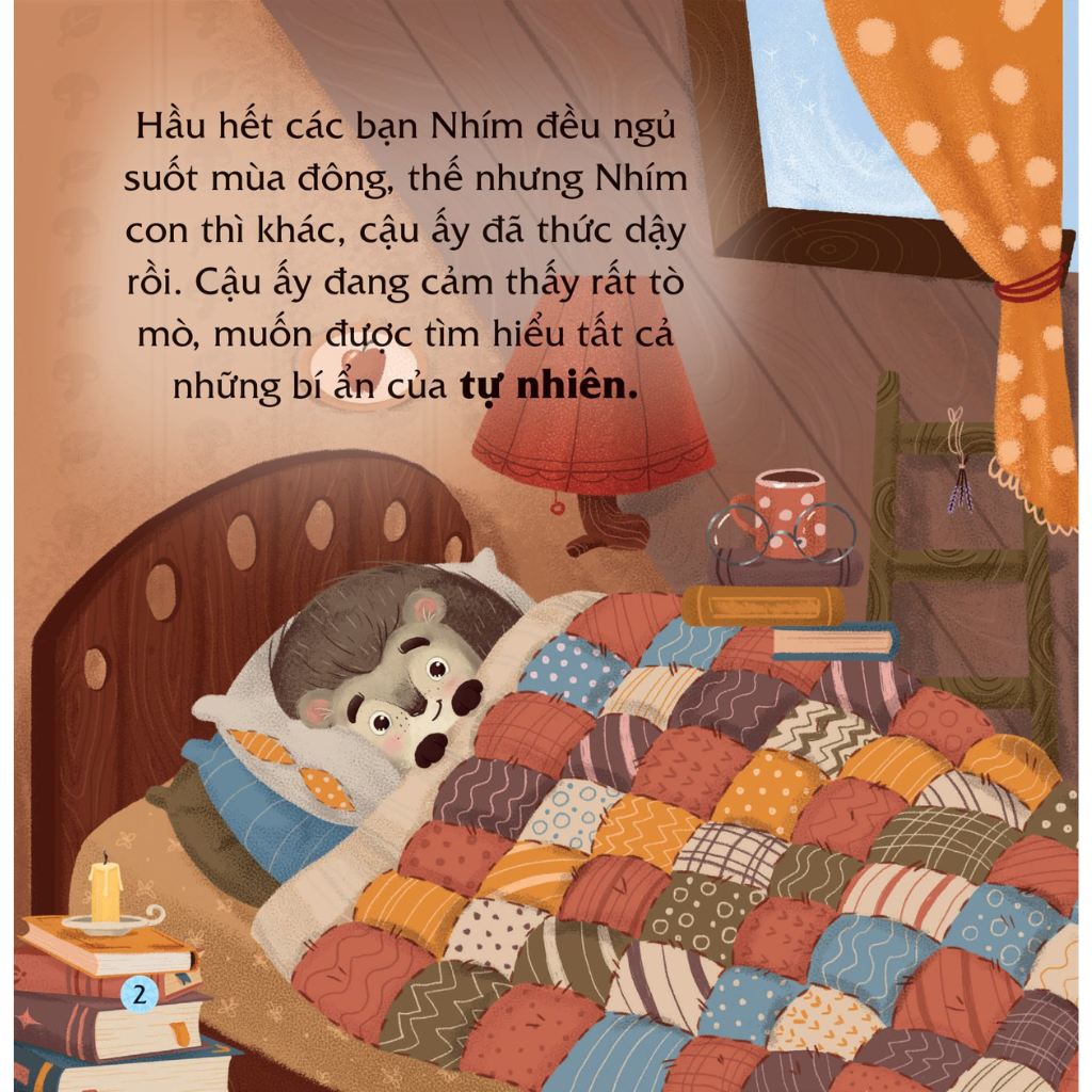 Truyện kể bốn mùa - Nhím con ham học hỏi - Bí mật của mùa đông