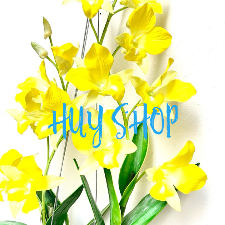 Giỏ gáo dừa Hoa LAN CÒ  Vải cao cấp trang trí treo trần nhà