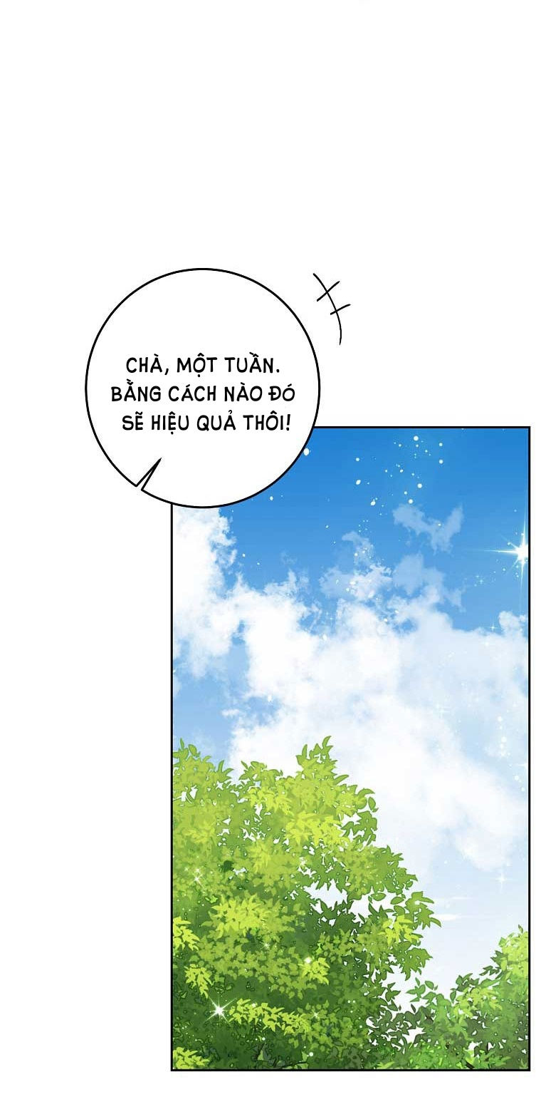 tôi là tiểu thư của gia đình này chapter 145 17