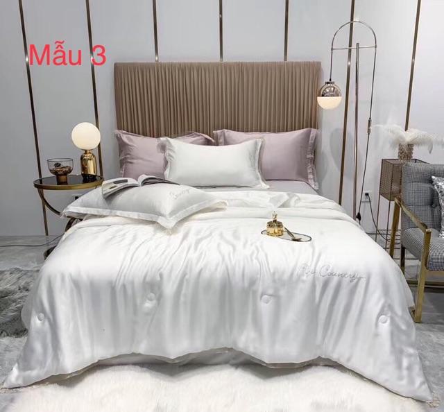 Bộ lụa thêu tencel 60S chăn trần FLY COUNTRY