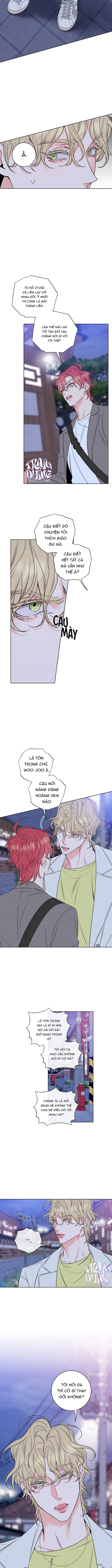 rắc rối mật ngọt chapter 19 8