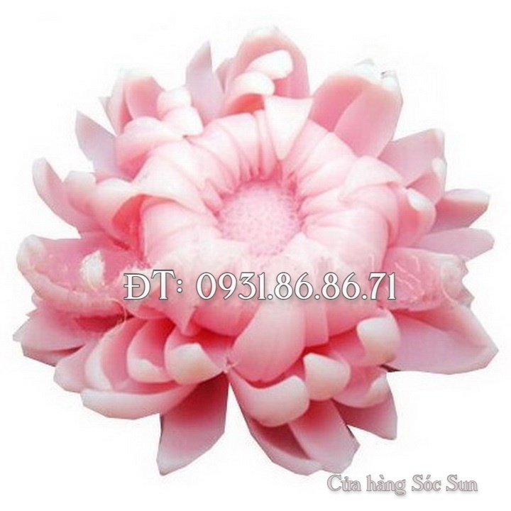 Khuôn silicon hoa cúc cánh kim đại đóa loại 8 cm - Mã số 1666