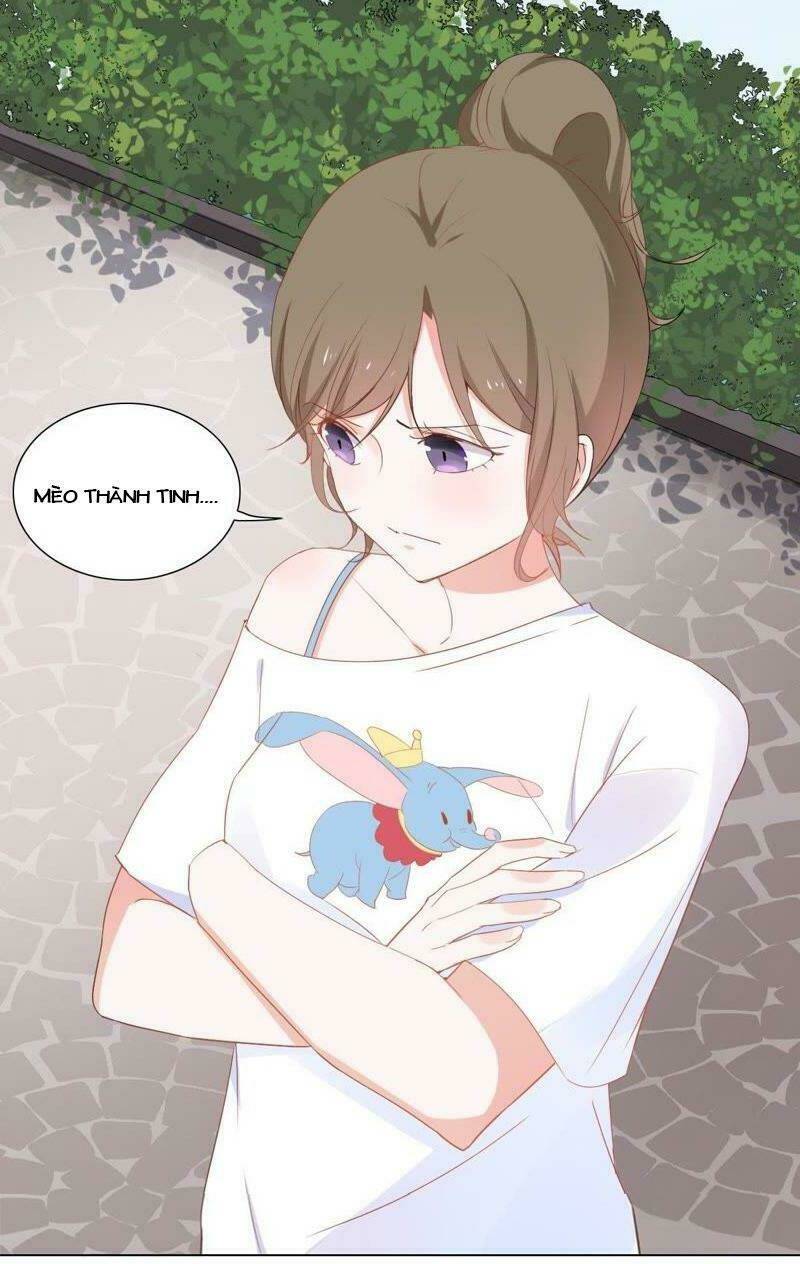 thập nhị hắc miêu chapter 2 22