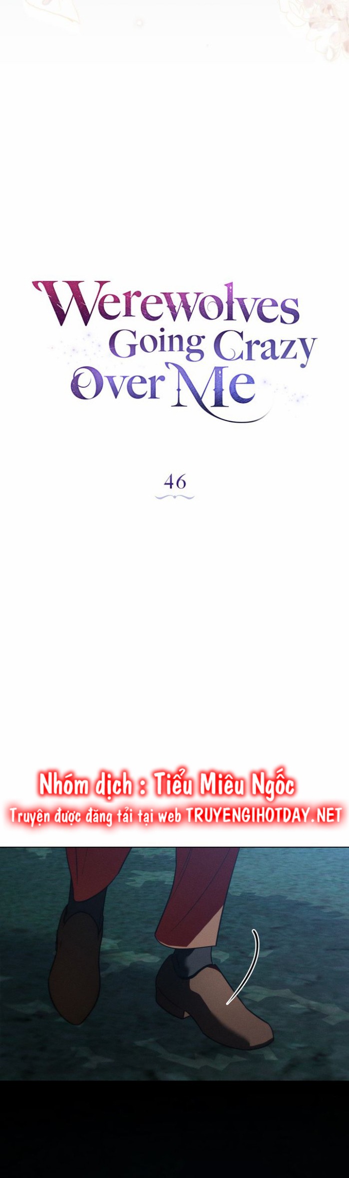 chàng người sói phát điên vì tôi chapter 46 13