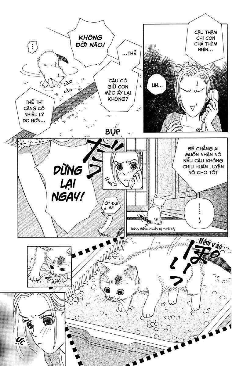 cuộc sống thường nhật của mèo zaccho chapter 1.5 15