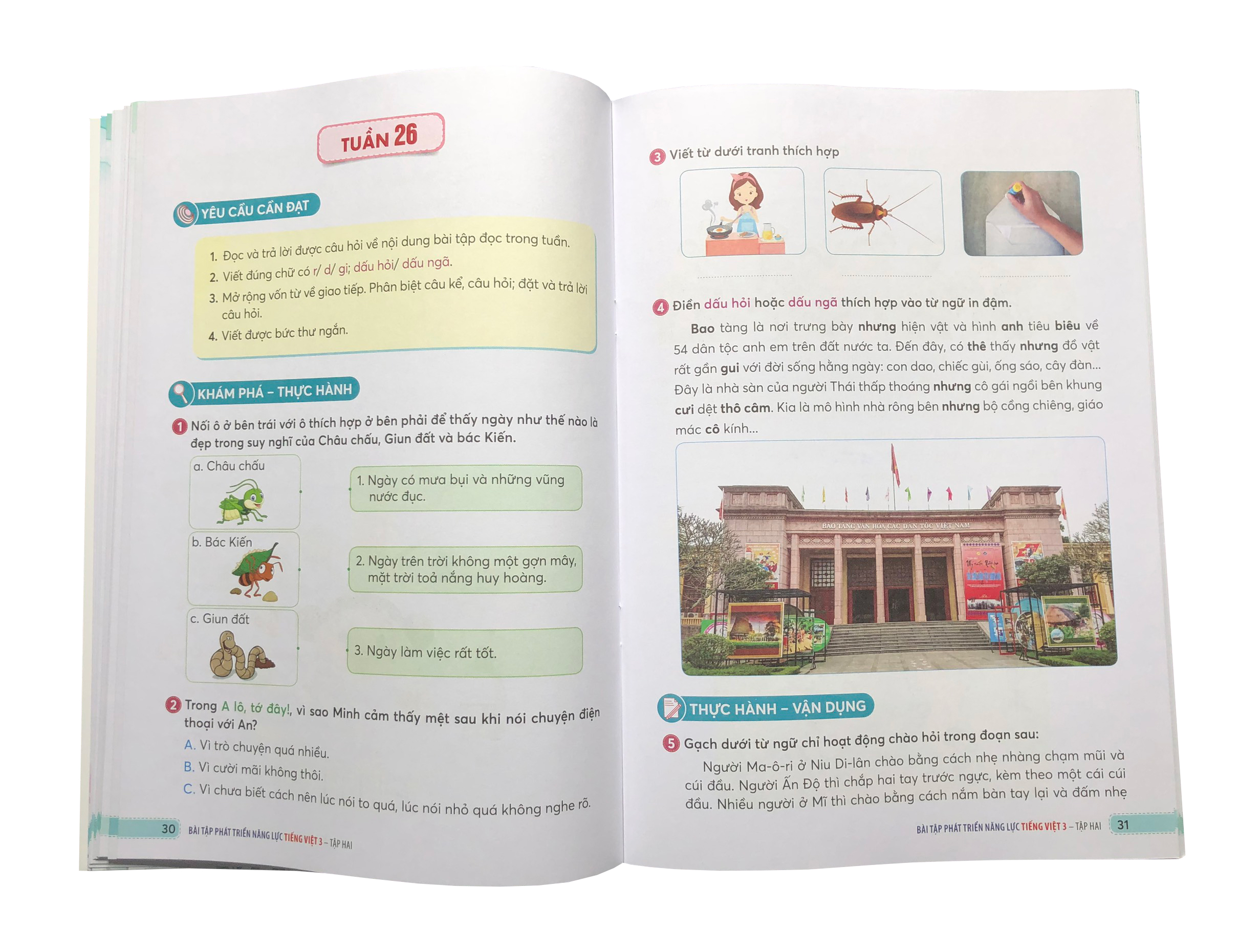 Bài tập phát triển năng lực Tiếng Việt 3 Tập 2