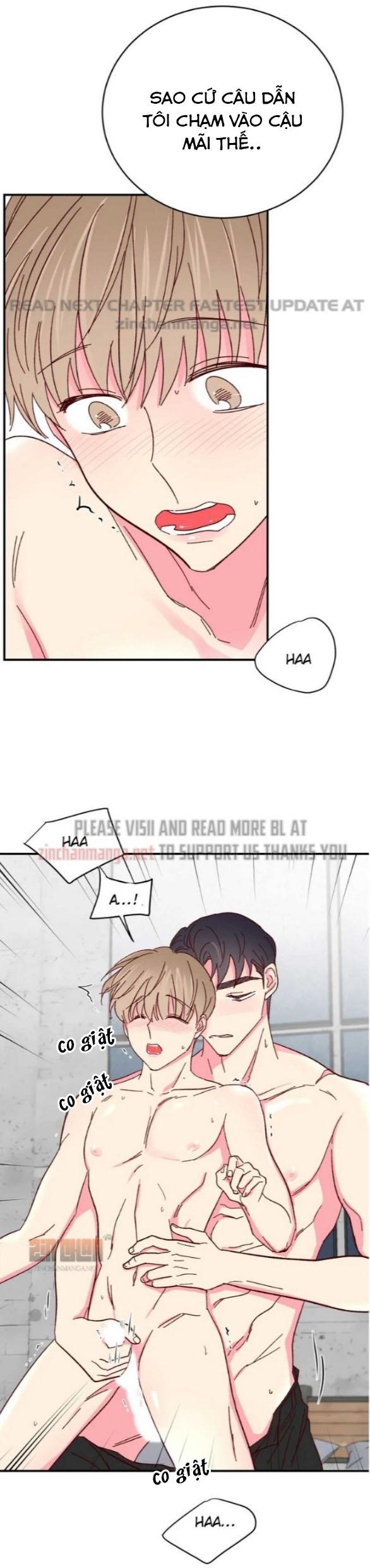 món tráng miệng của sếp tổng chapter 62 17