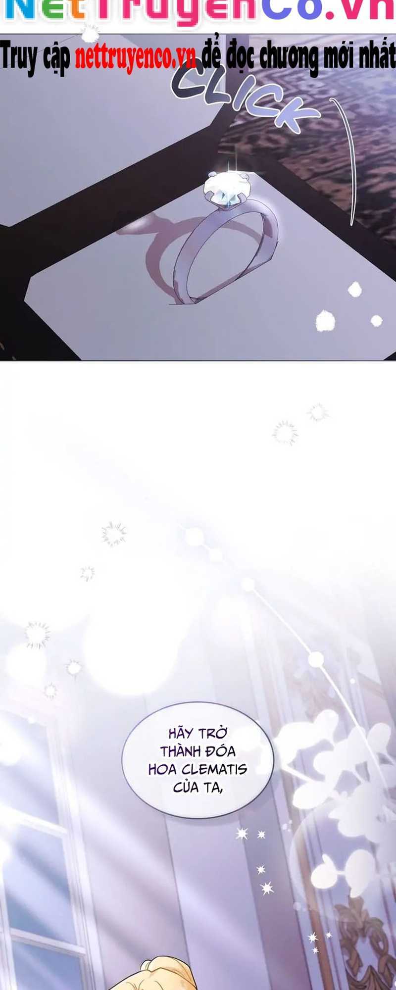 tìm lại camellia chapter 89 51