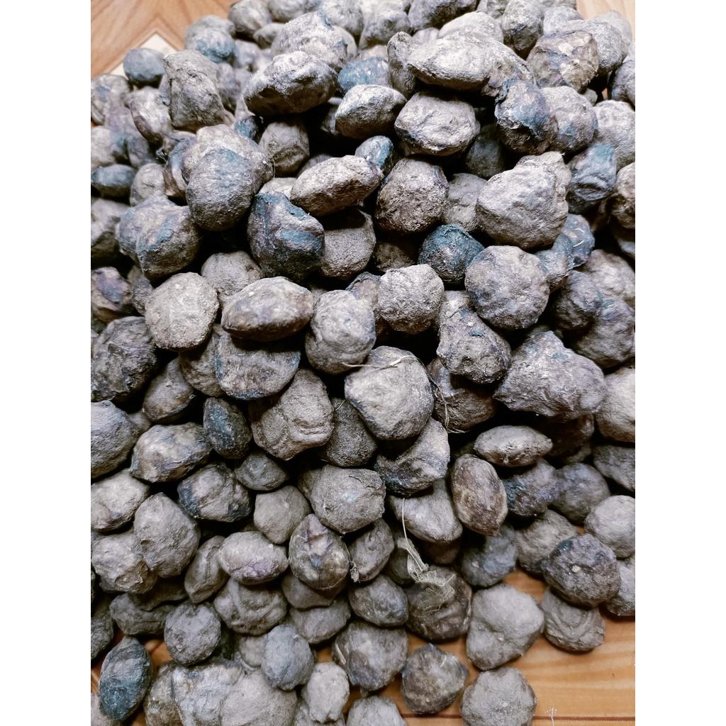 1 kg hạt sấu giống