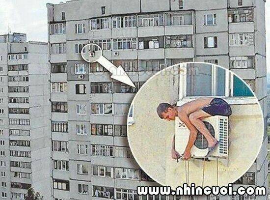 hình ảnh hài hước new chapter 8 12