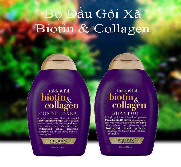 Bộ dầu gội+ xả kích mọc tóc- dưỡng tóc Biotin 385mlx 2 chai ( không có tem phụ-không xuất hóa đơn đỏ )