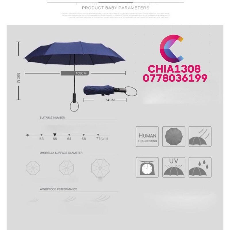Ô Dù Đi Mưa Mở Nút Tự Động Thiết Kế 10 Nan Kép Bằng Thép 304 Chống Gỉ Chắc Chắn Và Bền Đẹp