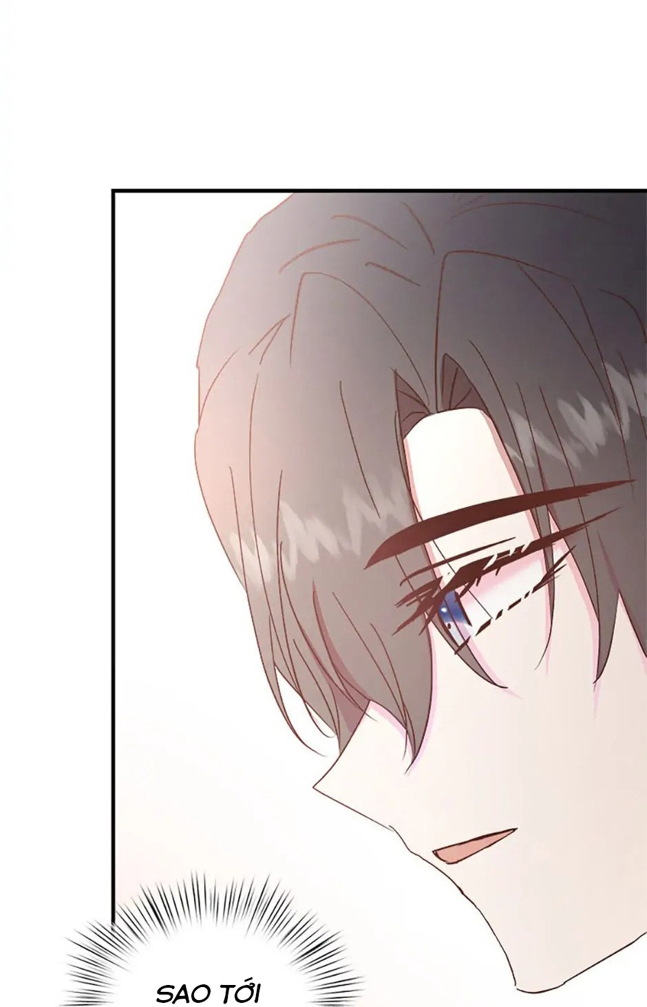 tôi sẽ không kết hôn với ngài đâu chapter 24 65