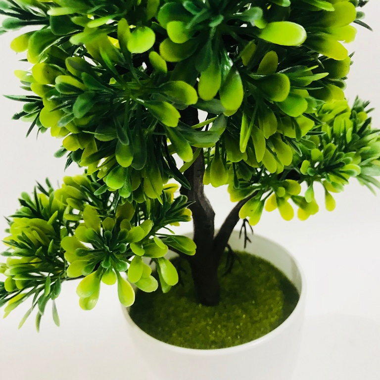 Chậu Bonsai nhựa 3 nhánh dáng đứng các màu