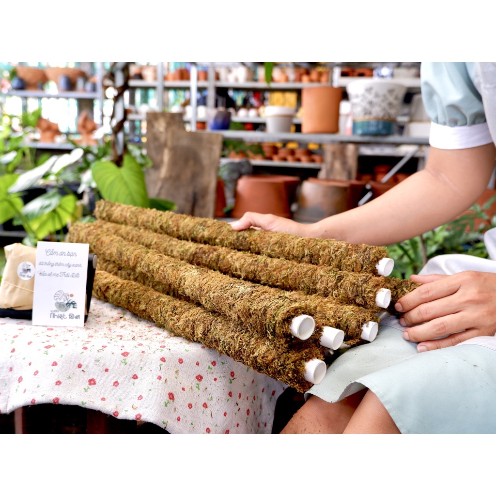 Trụ rêu trồng cây dây leo, decor sân vườn