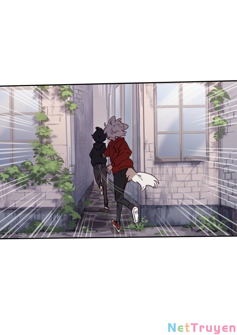 lumine - cội nguồn ánh sáng chapter 77 23