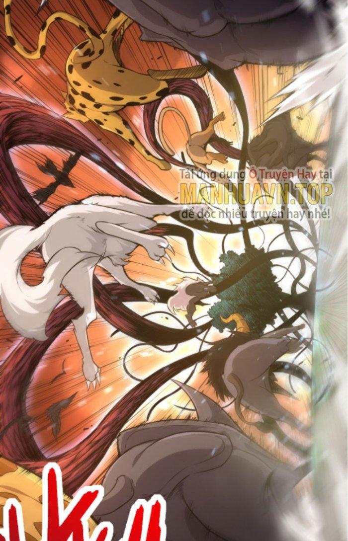 từ cây cổ thụ bắt đầu tiến hóa chapter 6 90