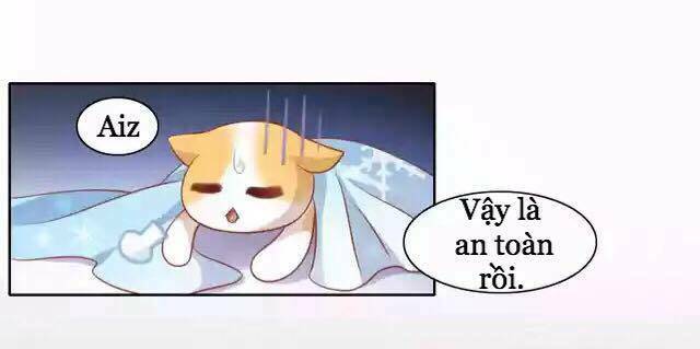 dưới móng vuốt mèo chapter 11 25