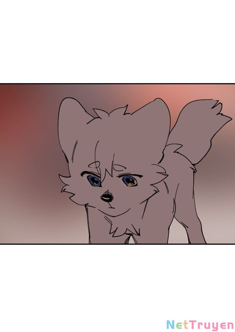 lumine - cội nguồn ánh sáng chapter 109 42