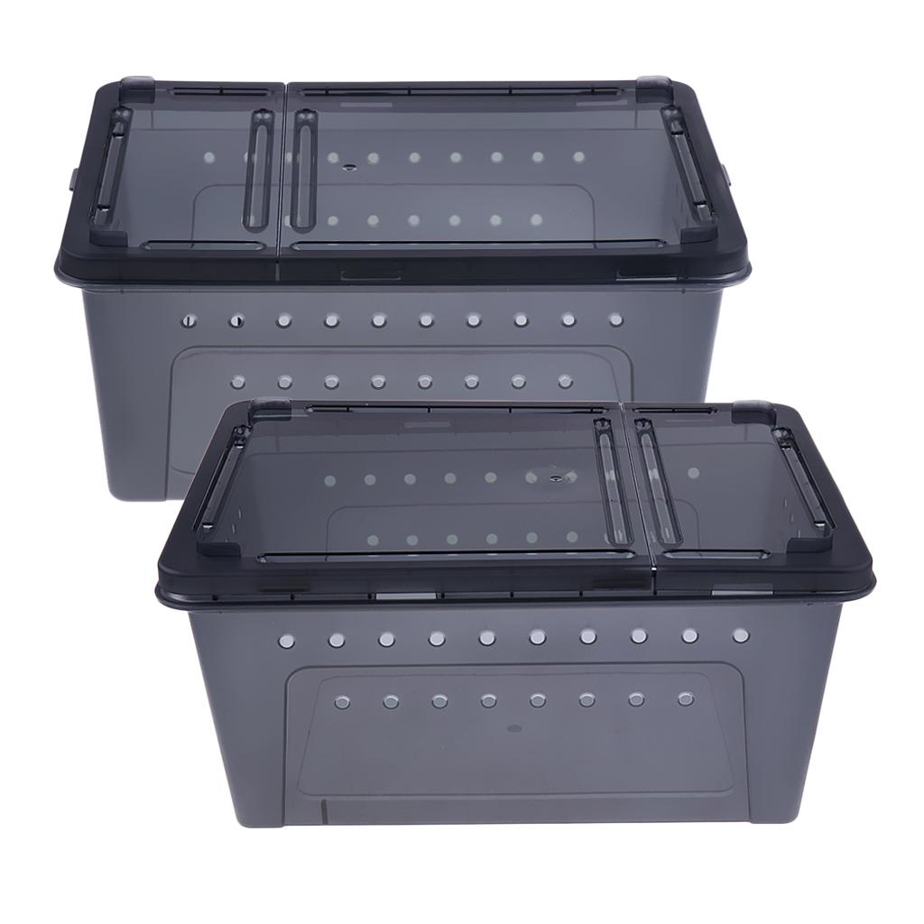 Insect Spider Snake Reptile Transport Breeding Feeding Case 25x17.5x11cm