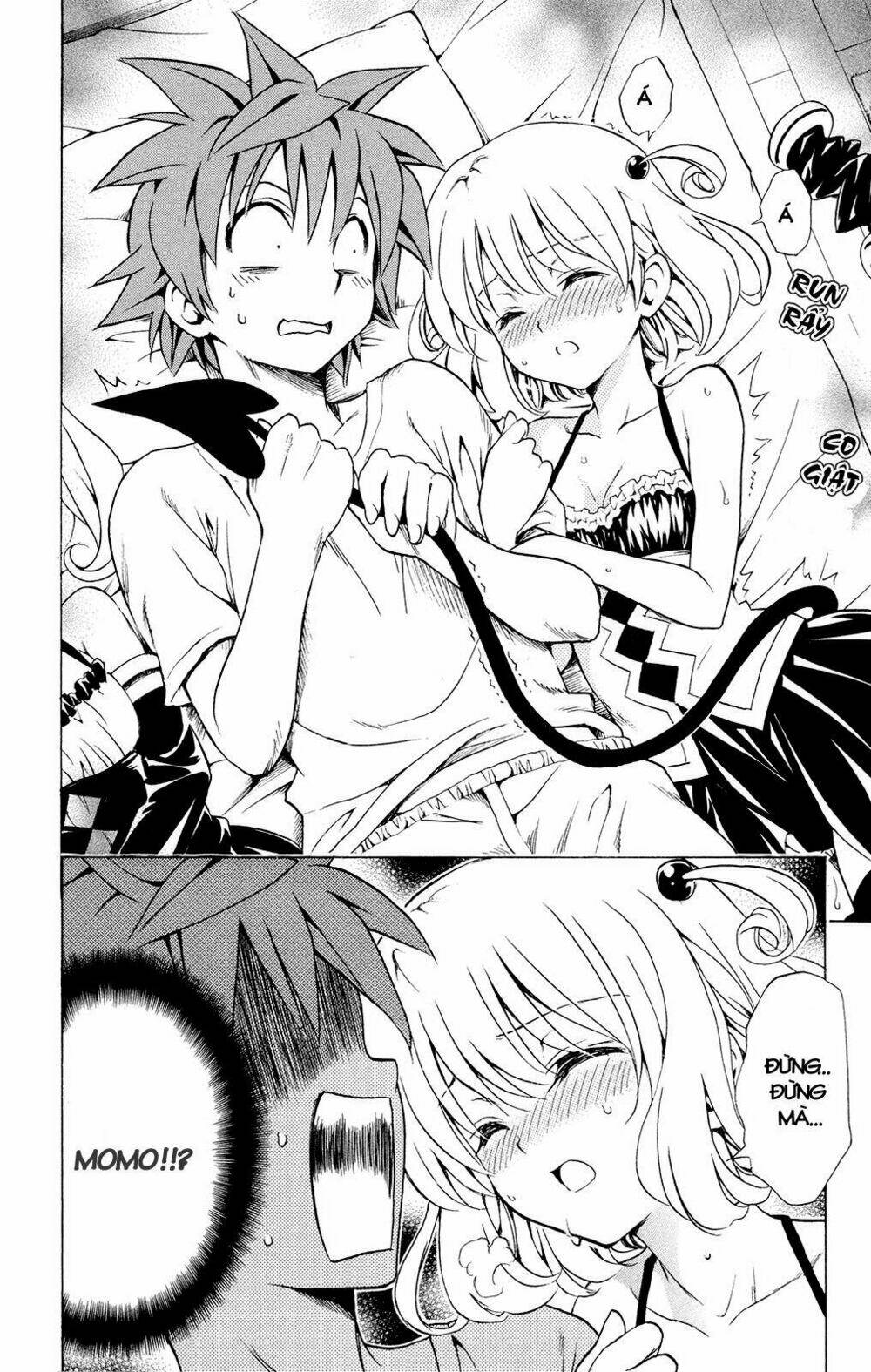 bọn tớ thích cậu! rito chapter 116 11