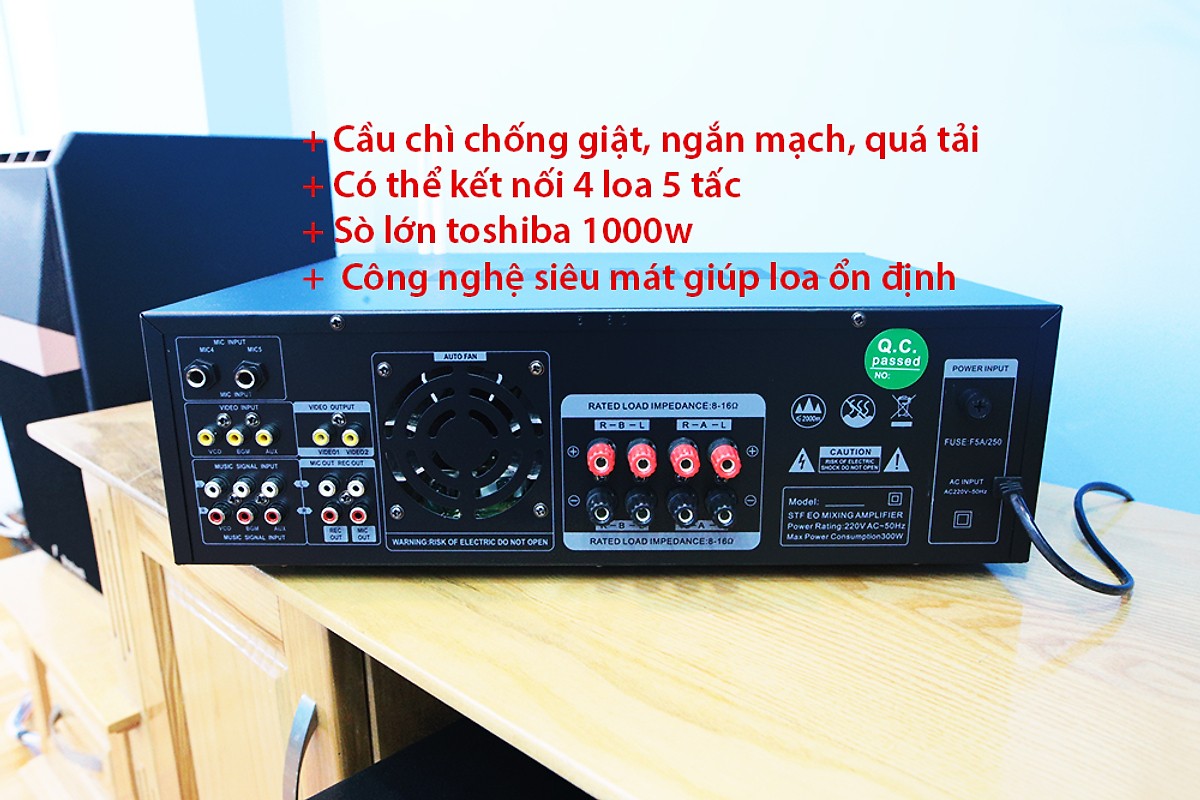 Amply karaoke Bradwell BR380