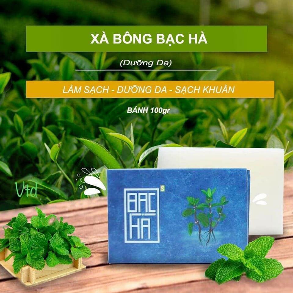 Set 3 Xà bông tắm gội đầu Sinh Dược hương Bạc hà tẩy da chết, sáng da, giúp giảm tress, mát lạnh sau tắm - 100% làm từ dược liệu thiên nhiên/ xà phòng handmade 100gr