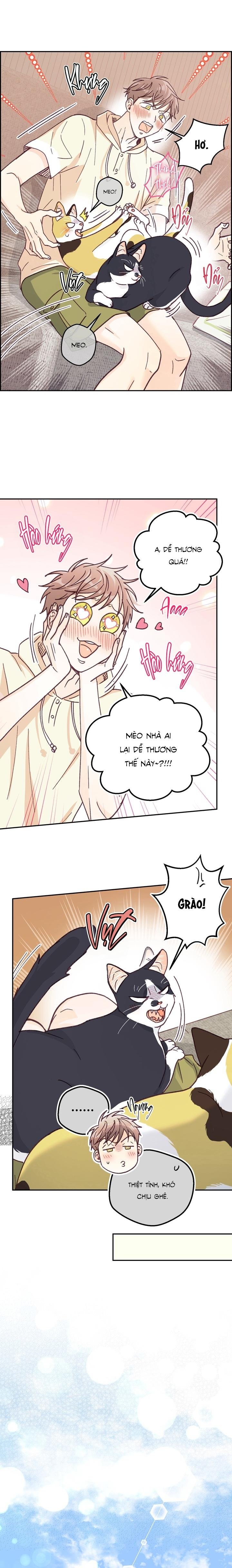 bạn trai vô song của tôi Chapter 35 NT3 H+ 15