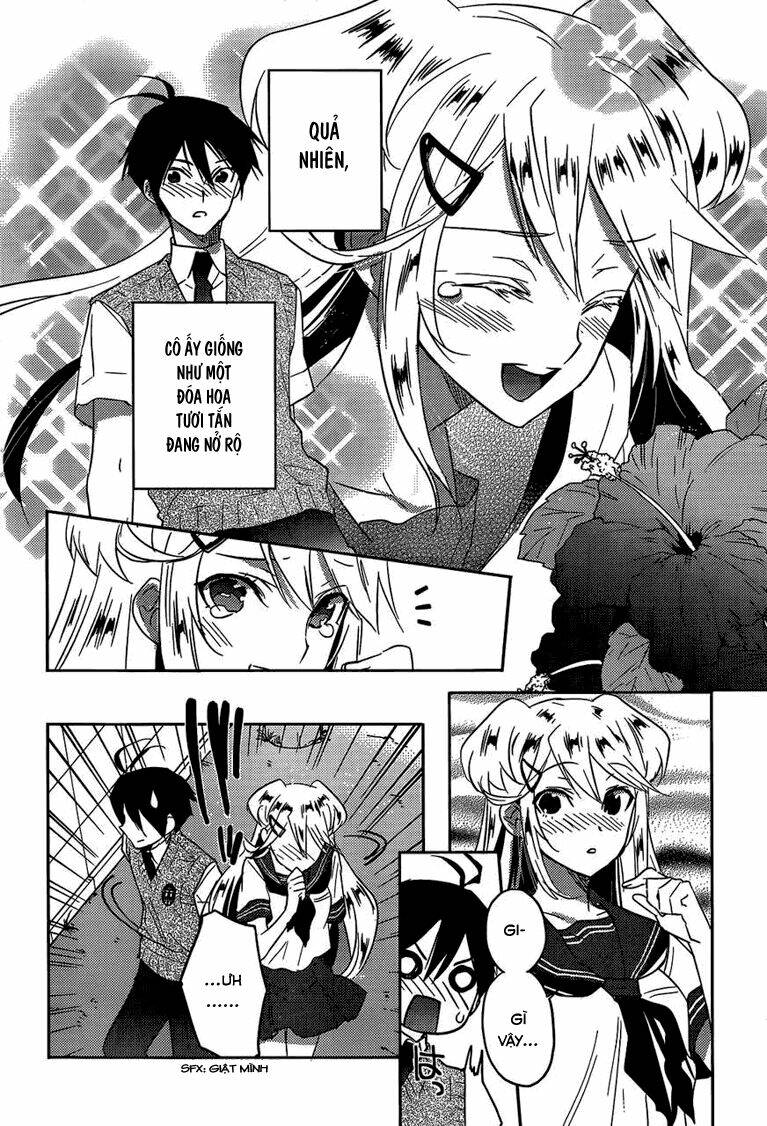 evergreen chapter 12 24