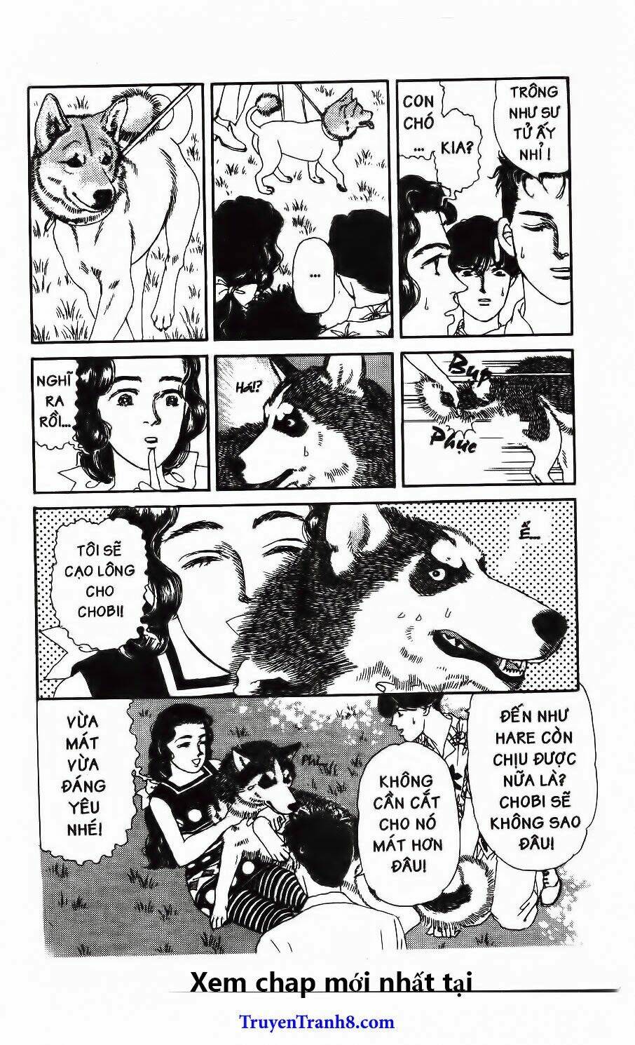 doubutsu no oishasan chapter 97 8