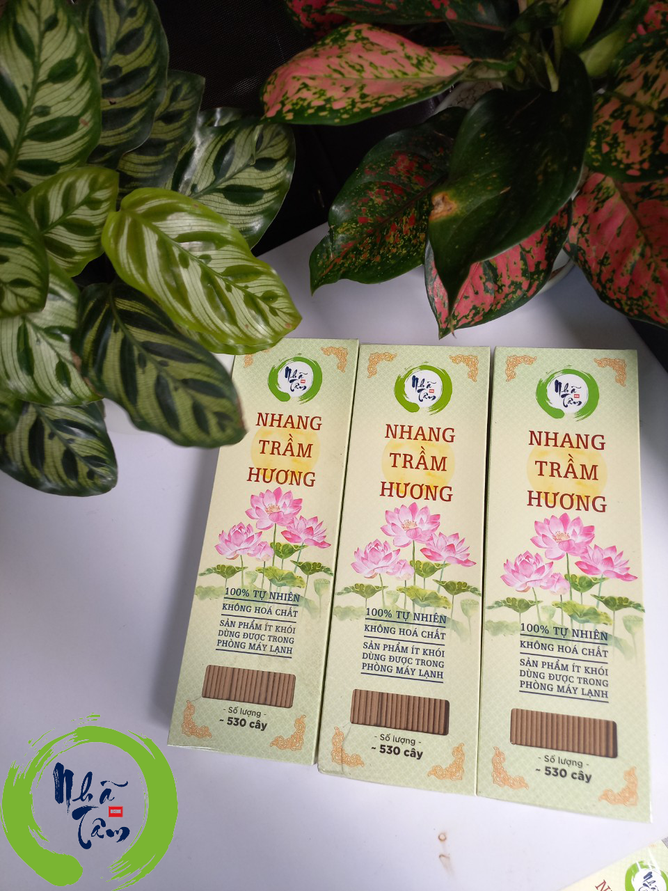 NHANG TRẦM HƯƠNG - 30CMX500G TĂM ĐỎ