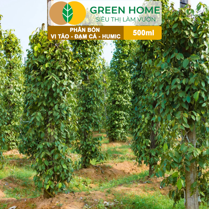 Phân Đạm Cá - Vi Tảo - Humic GreenHome, Chai 500ml, Siêu Vọt Đọt, Kích Rễ Mạnh Mẽ Cho Mọi Cây Trồng