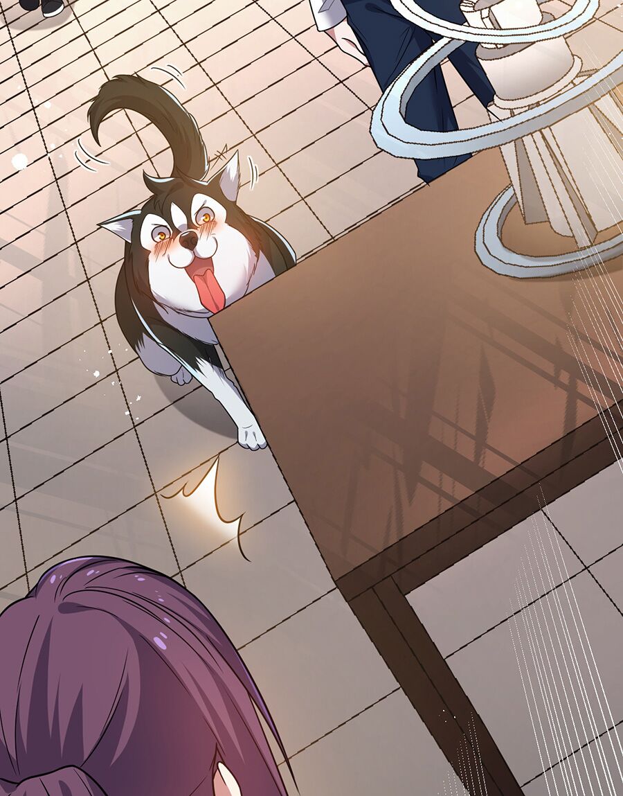 hệ thống mô phỏng linh sủng chapter 11 49